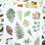 Memories Of Autumn - Ephemera Stickers | Vintage Gold Foil Washi Paper (20 Sheets)