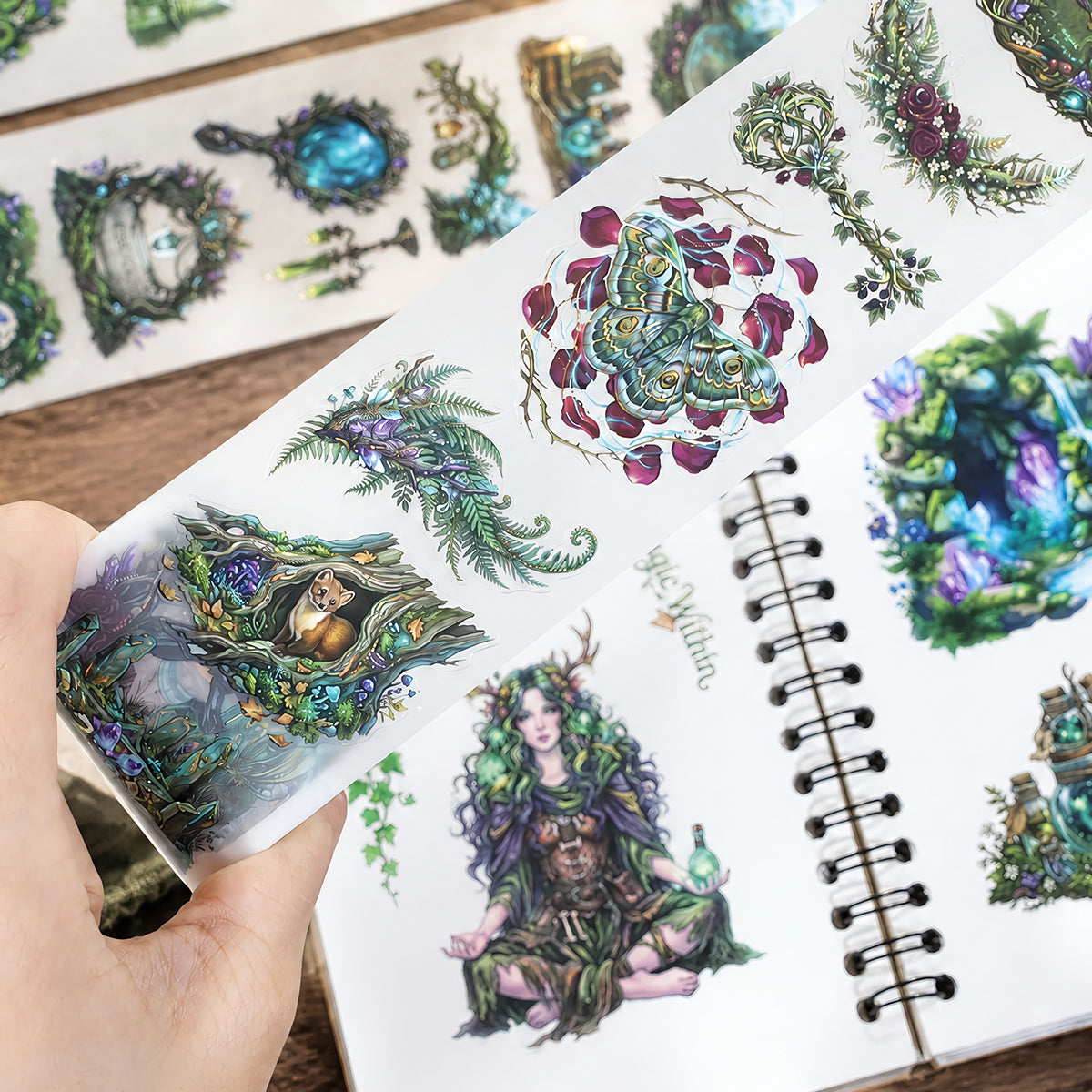 Fantasy Forest Realm - PET Tapes | Whimsical Shell Gold Die Cut (4 Rolls)